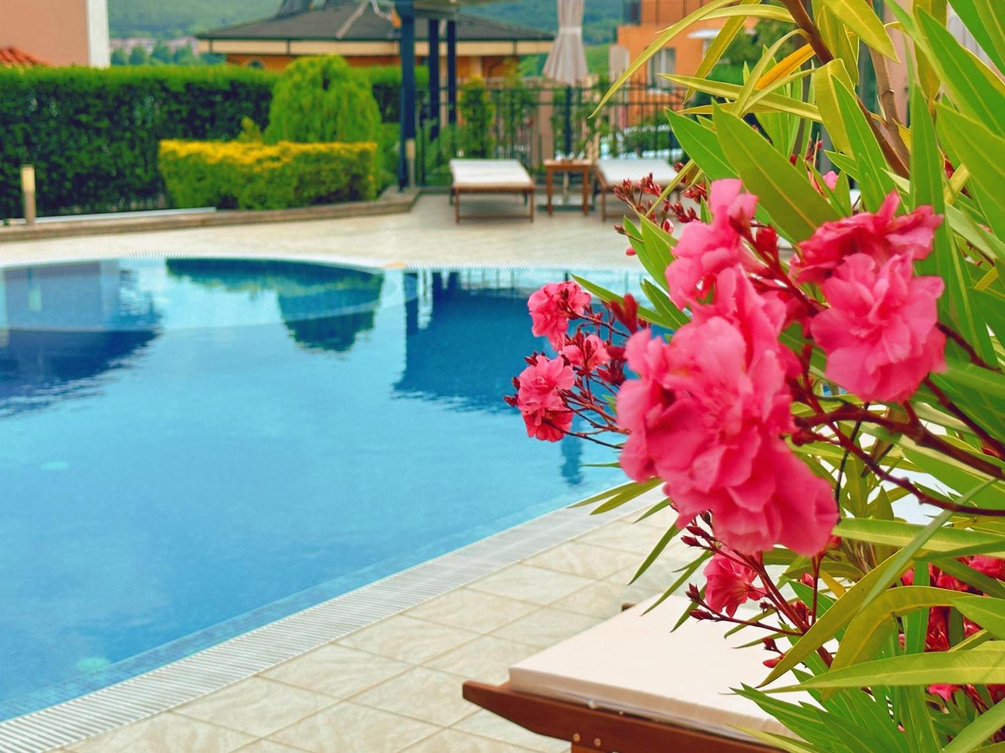 Villa Mia Szozopol Kültér fotó